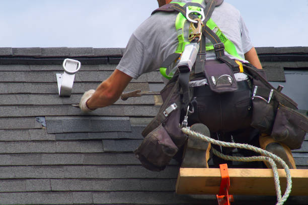 Best Wood Siding Installation  in Lakeland North, WA