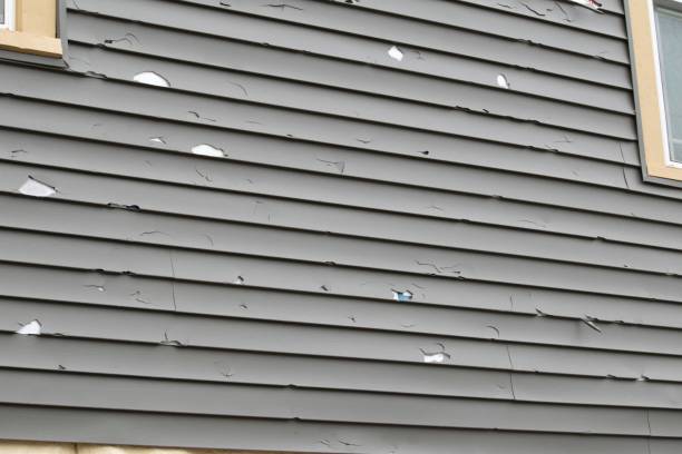 Affordable siding repair and maintenance services in Lakeland North, WA