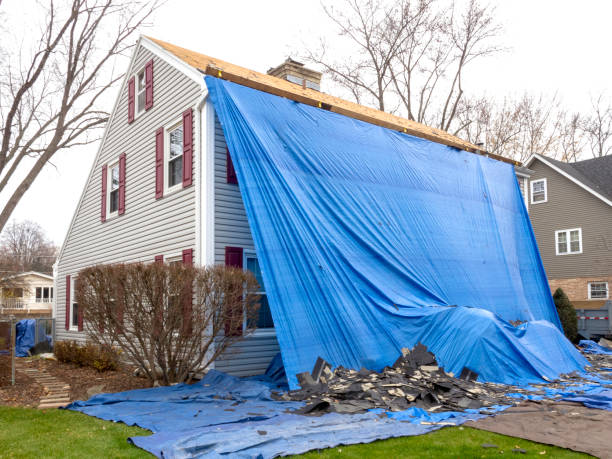 Best Fiber Cement Siding Installation  in Lakeland North, WA